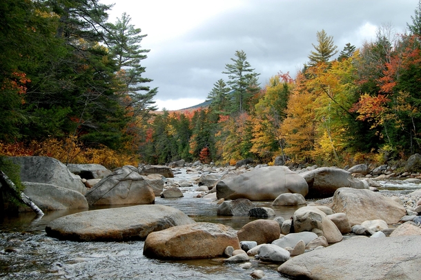 New Hampshire Kangamangus Highway Fall   x 
