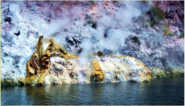 New Zealand Geothermal Geyser 