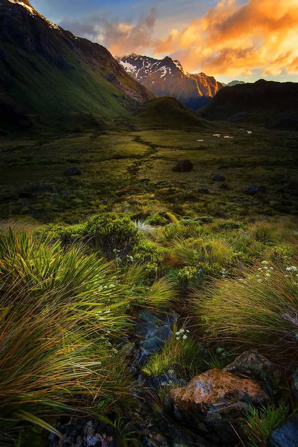 New Zealand mountains  by Goff Kitsawad
