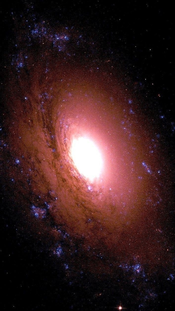 NGC  A galaxy in the constellation Sextans