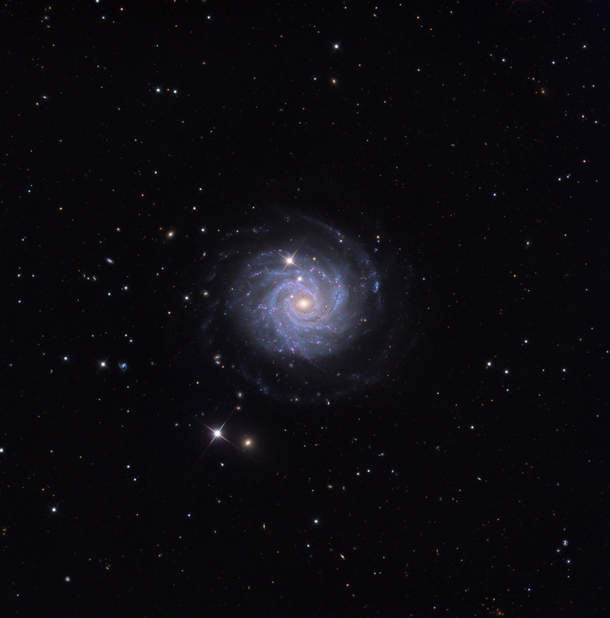 NGC  - a relatively isolated barred spiral galaxy located  million light years away in the constellation Leo Minor 