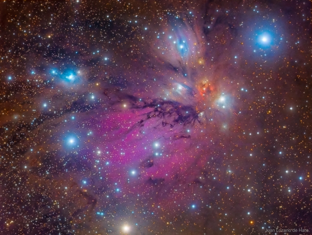 NGC  Angel Nebula Still Life