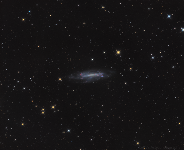 NGC  - Barred Spiral Galaxy in Draco 