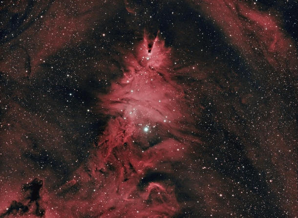 NGC  Cone Nebula Christmas tree cluster  hours of exposure time 