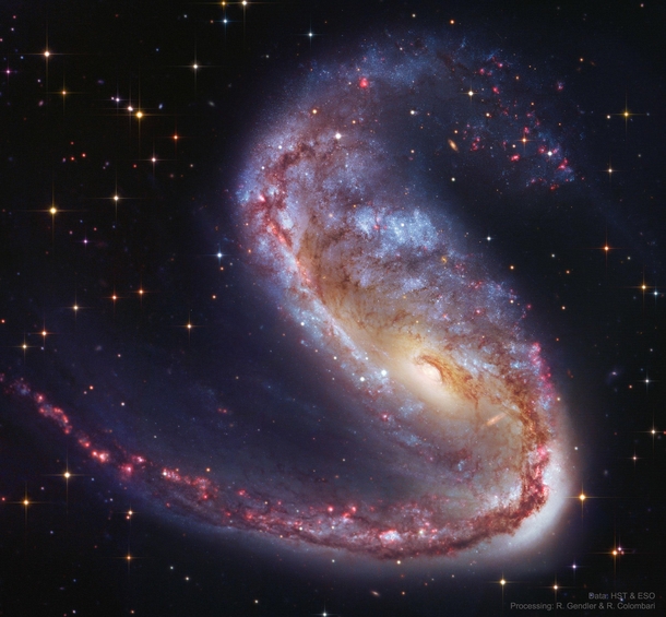 NGC  Galaxy in Volans Image Credit amp Copyright Processing Robert Gendler amp Roberto Colombari Data Hubble Legacy Archive European Southern Observatory