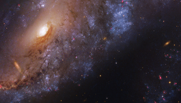 NGC  the Meathook Galaxy an intermediate spiral galaxy about  million light years away in the constellation Volans  image credit Hubble