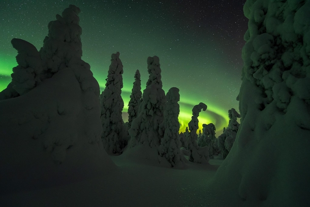 Night in a Wonderland Lapland Finland  