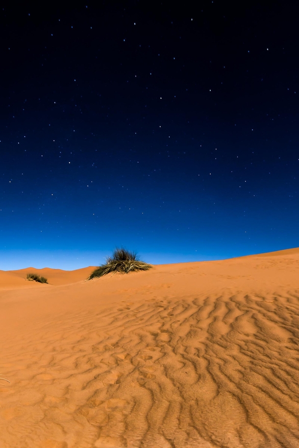Night in the Sahara Desert Morocco  IGzachgibbonsphotography