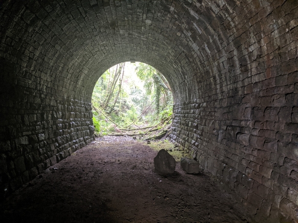 Nine Tunnels in One Weekend Forest of Dean Abandoned Railway