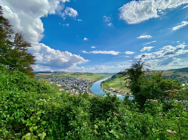 Nittel on Moselle Germany on a summer day 