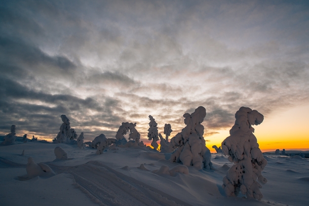 Noon at Levi Fell in Kittil Finnish Lapland in December  