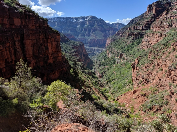 North Kaibab Trail - Grand Canyon AZ 