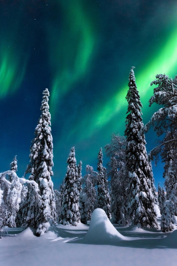 Northern Lights above Riisitunturi National Park Finland 