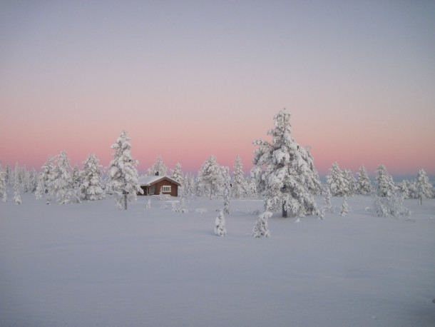 Norwegian boreal forest 