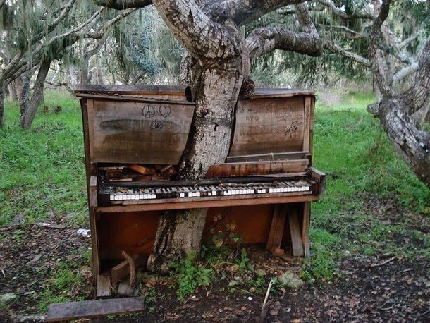 Not a grand piano but a grand photo