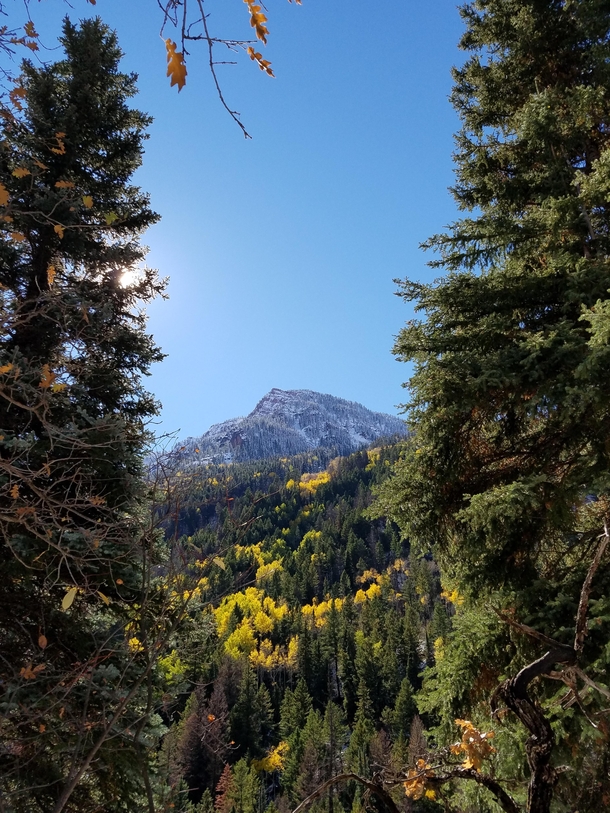 Not a photographer just saw this on a hike in Carbondale Colorado 
