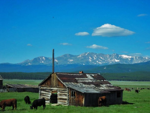 Not abandoned by the cows Colorado USA 