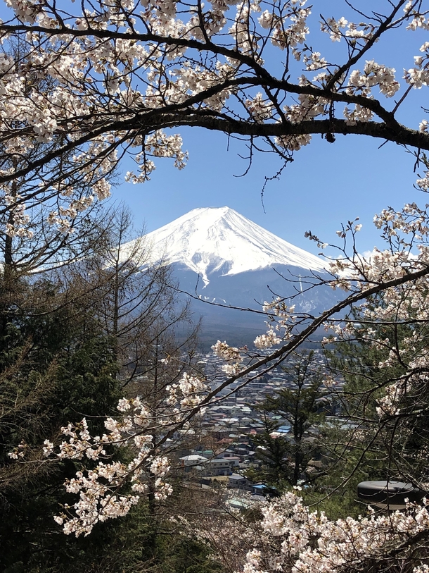 Not quite as mesmerizing as some of the posts on this sub but still a sight for sore eyes Mount Fuji Japan   x 