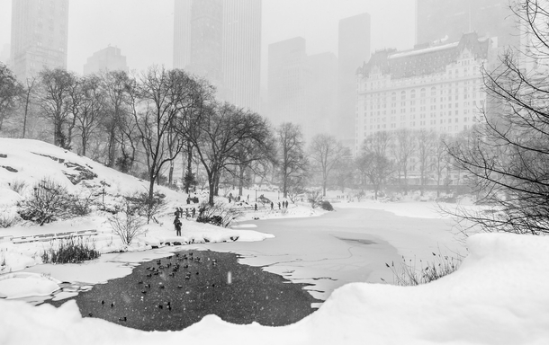 NYCs most recent blizzard hitting Central Park New York NY 