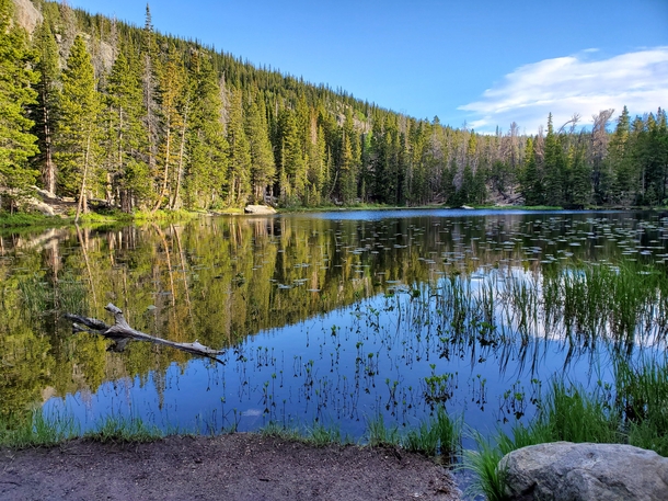Nymph Lake - Rocky Mountain National Park 