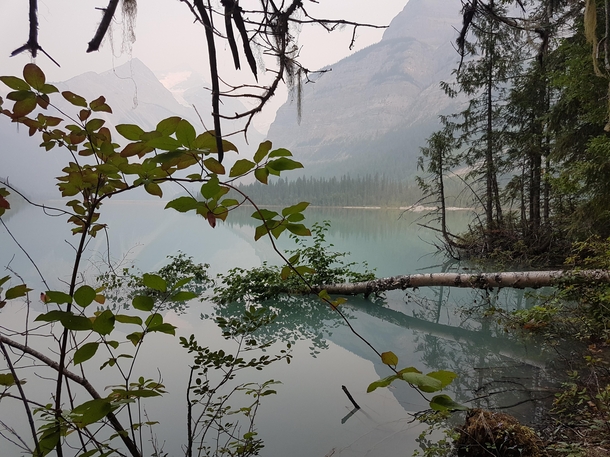 OC - pure tranquility I took this on my first trip to Kinney lake between Jasper Alberta and BC Canada Thought it was a good very first post on my reddit Journey Resolution X