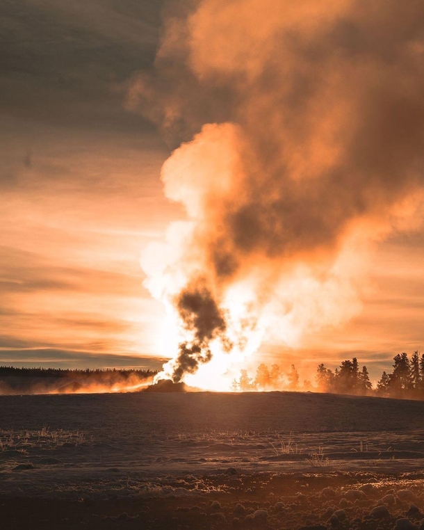 OC- Sunrise backlights old faithful Yellowstone National Park Have you been 