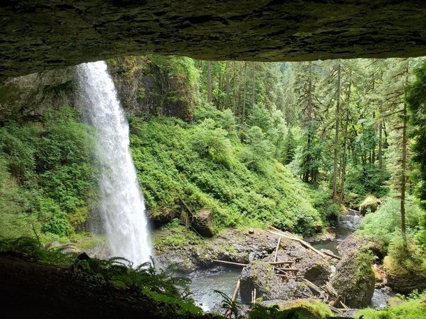 OC Trail of  Falls in Oregon 