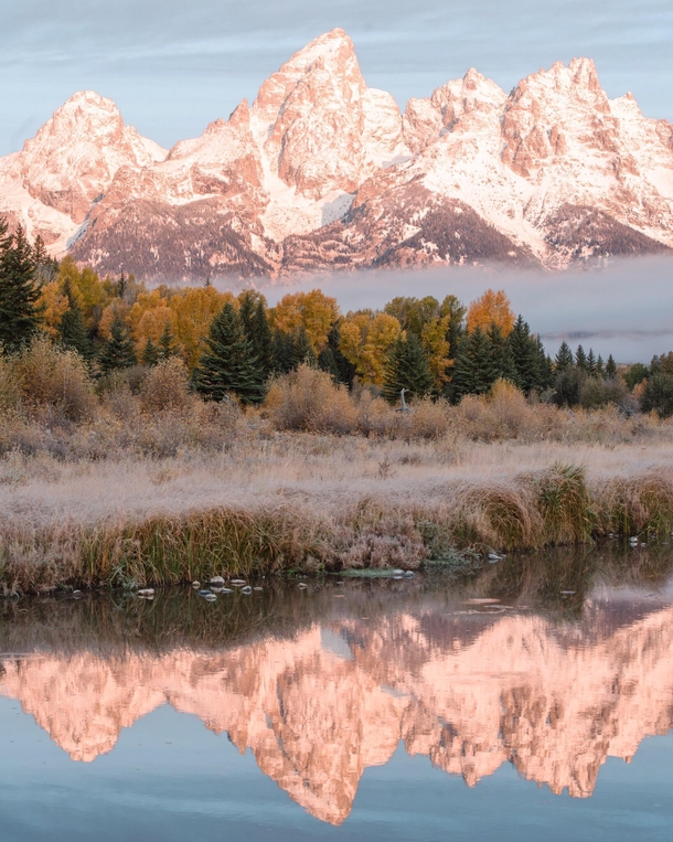 OC- Who else is dreaming of summer in Grand Teton Wyoming 