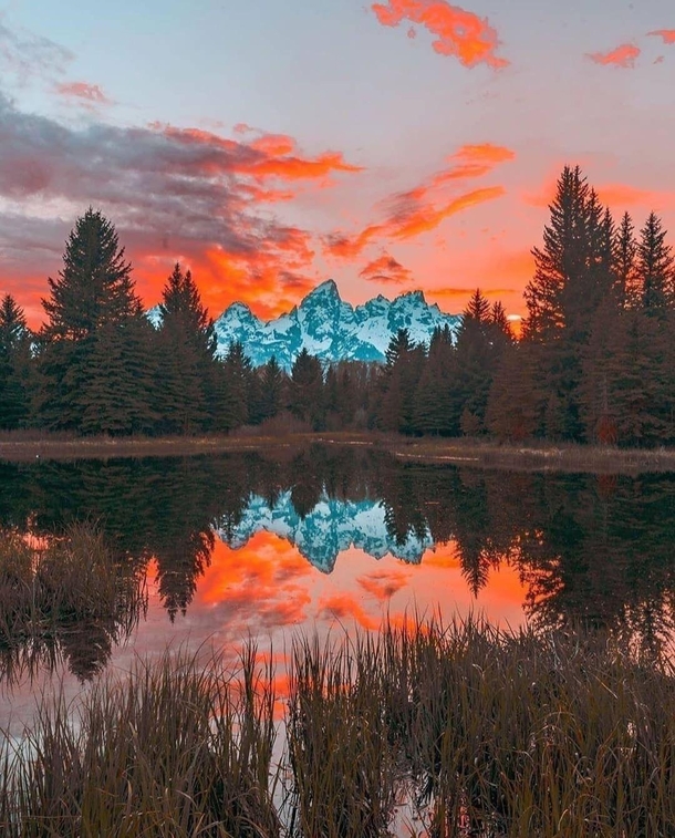 OC-Would you rather see this or your office view Grand Teton National Park Wyoming 