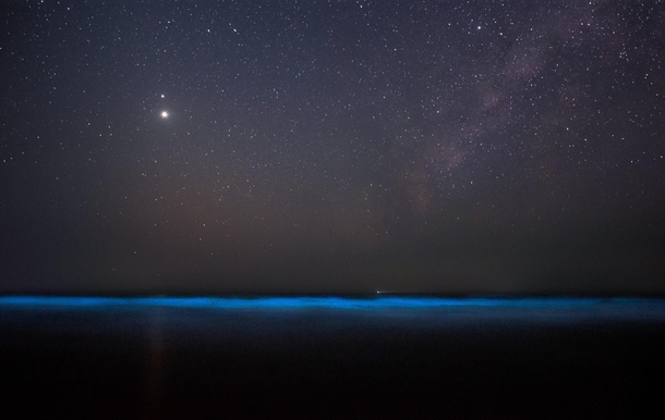 Ocean Glows an Ethereal Blue Under Milky Ways Starlight 