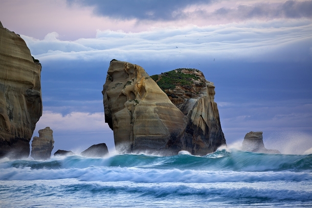 Off the coast of Otago New Zealand Photo by Kah Kit Yoong  xpost from rSeaPorn