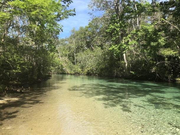 Oh theres a river that winds on forever- Weeki Wachee FL USA 