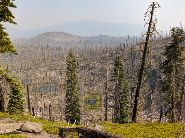 Old Burn And New Smoke Bear Lakes Trail in Lassen Volcanic National Park toward the end of the  Sheep Fire x OC