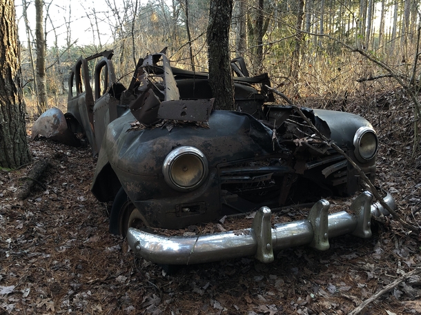 Old car I found deep in the woods