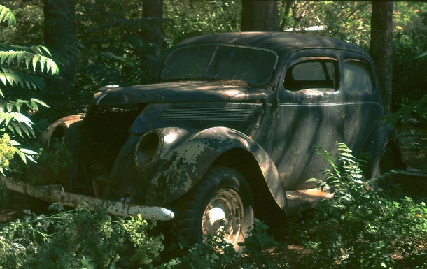 Old car in Patagonian forest 