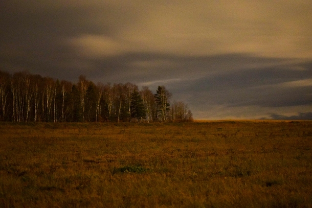 Old Cow Field at Midnight - New Canada Maine 