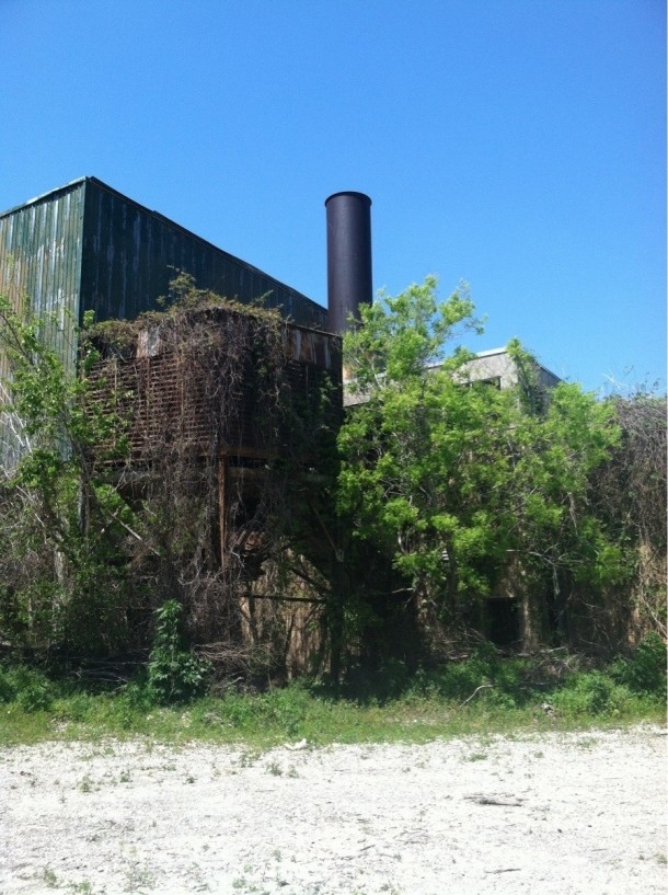 Old factory in New Orleans overtaken by nature 