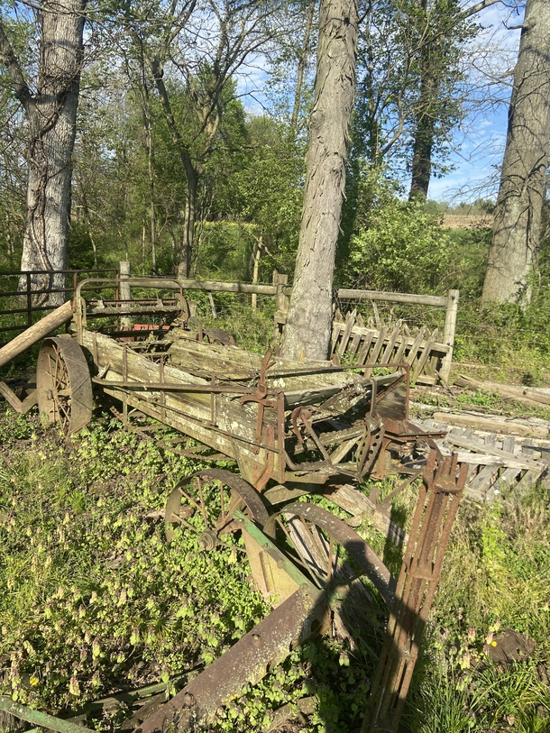 Old Farm Equipment at the Edge of My Property