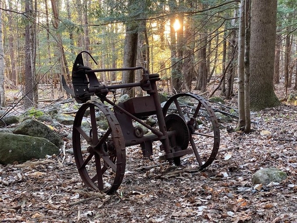 Old farm equipment in the NH woods