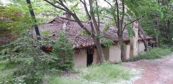 Old Korean house being eaten by trees