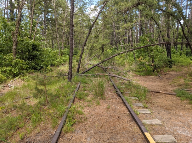 Old railroad tracks in the New Jersey Pine Barrens
