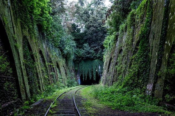 Old railway covered by green 