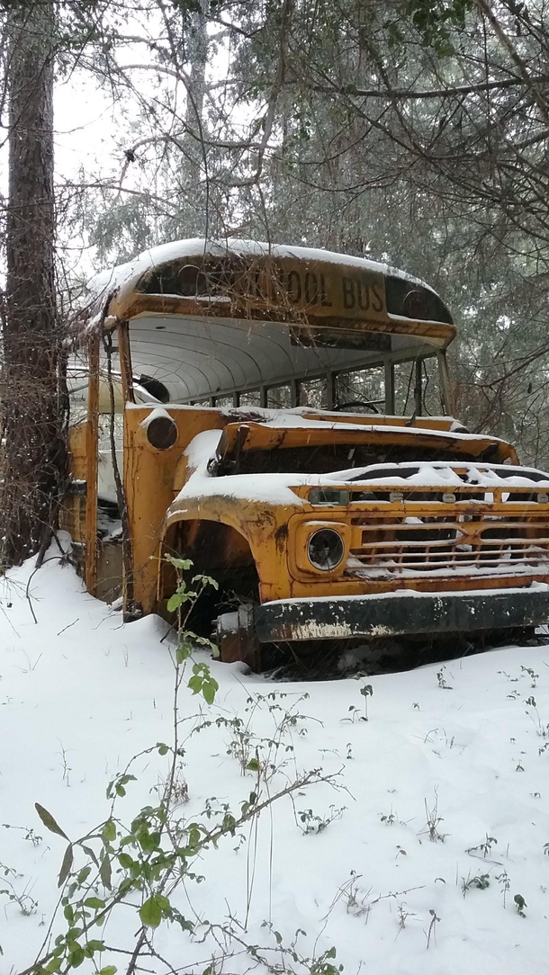 Old school bus I found deep in the woods in Tennessee