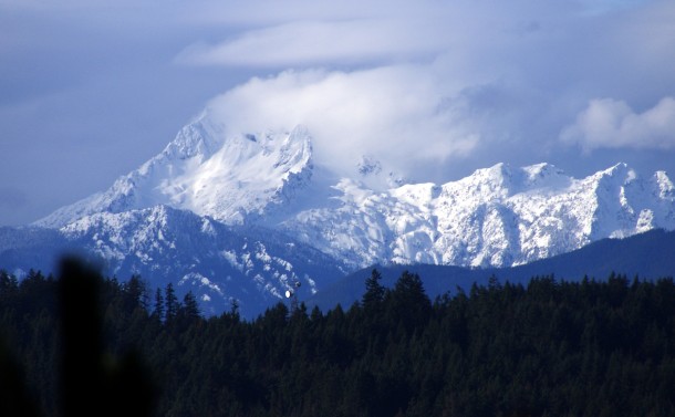 Olympic Mountains Washington State 