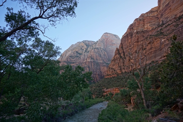On my walk back from Angels Landing in Zion National Park Utah 