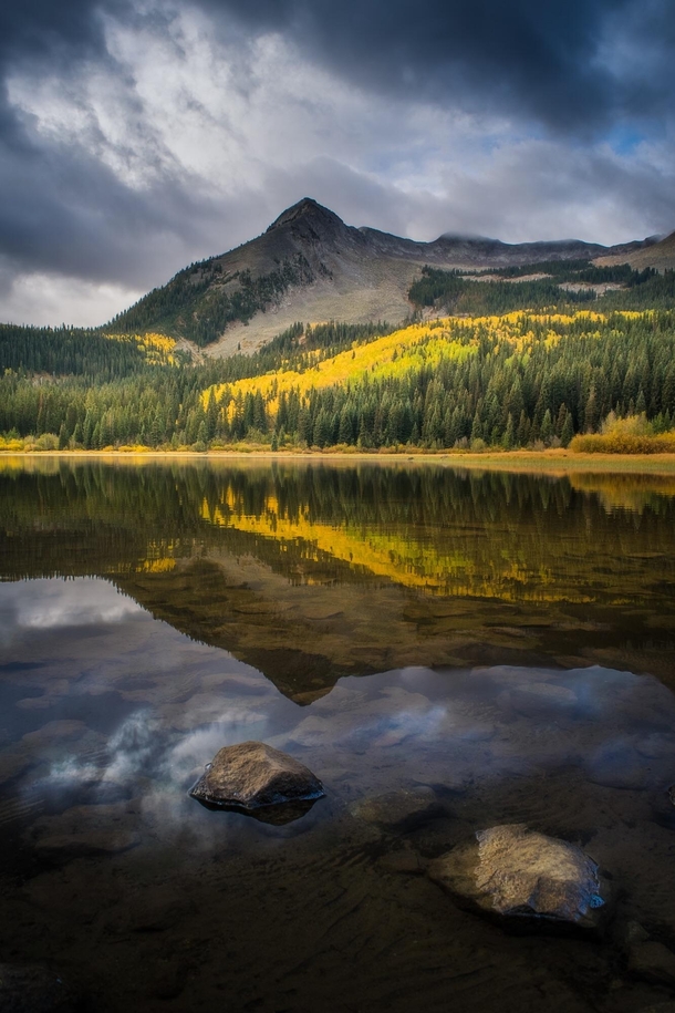 On the last days of my west coast road trip I Googled best aspen foliage and Crested Butte was the top result Wasnt disappointed Kebler Pass Colorado 