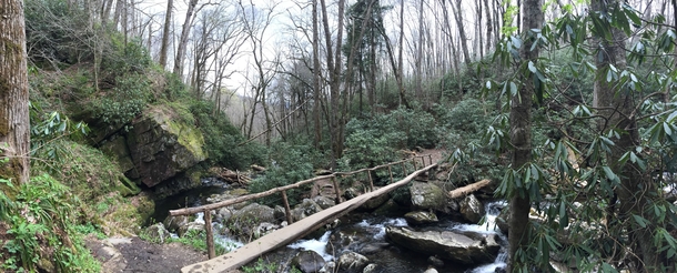 On the trail to Ramseys Cascades - Great Smoky Mountains TN 