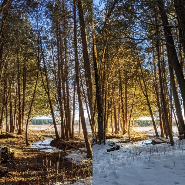 One month apart - Guelph ON Canada