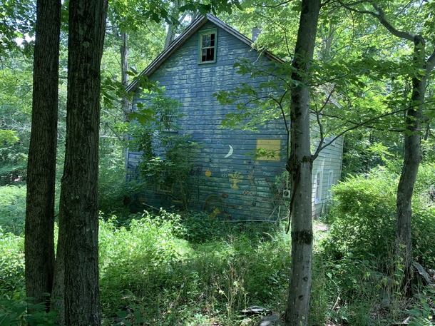 One of many abandoned houses found while surveying a  acre estate