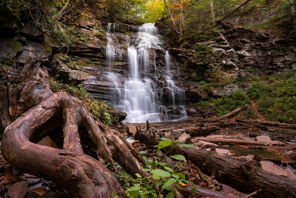 One of my favorite places  Ricketts Glen State Park PA 